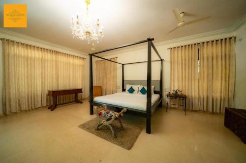 the amore collective