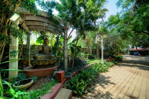 the amore collective