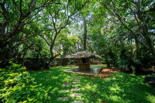 the amore collective