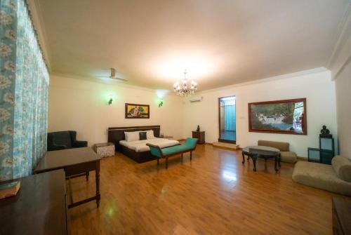 the amore collective