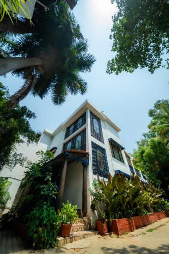 the amore collective