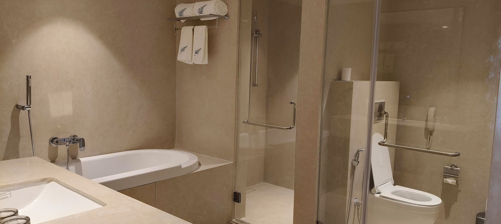 siddharth the fern an ecotel hotel jalna