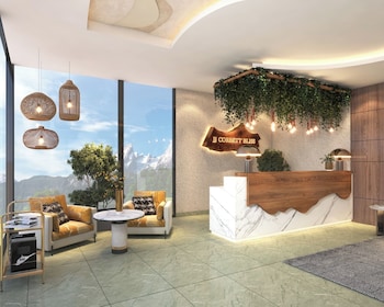 the jj corbett bliss