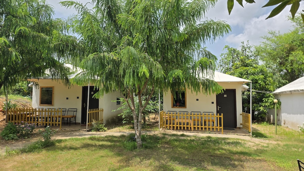 yuvraj fort pushkar by dmhh pvt ltd