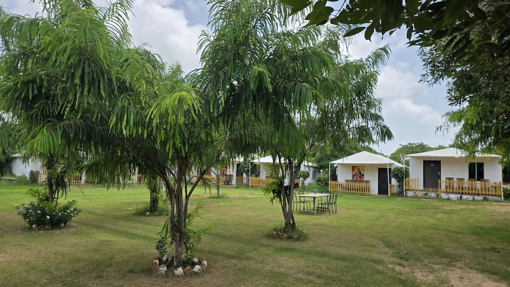 yuvraj fort pushkar by dmhh pvt ltd