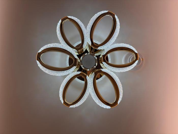 hotel royal galleria