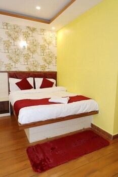 hotel shree mani residency