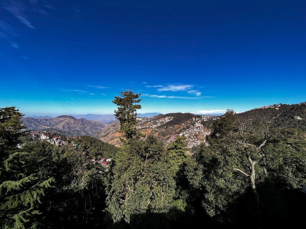 shimla