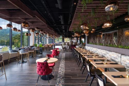 hotel indigo gatlinburg downtown by ihg