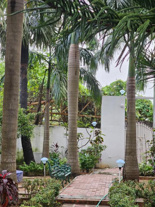 anton white villas resort