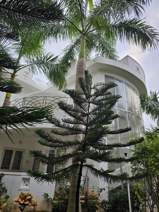 anton white villas resort