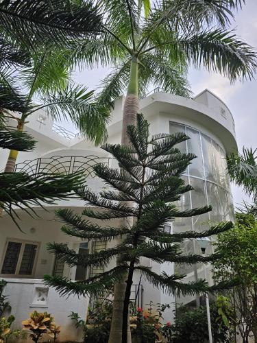 anton white villas resort