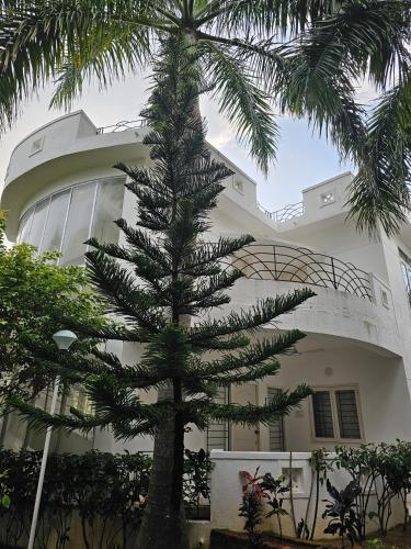 anton white villas resort