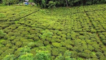 ventara clouds resort