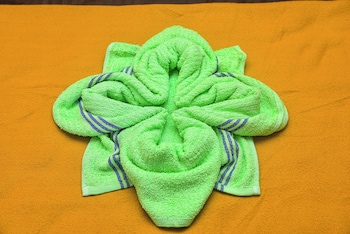 temple view residency