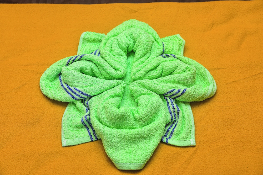 temple view residency