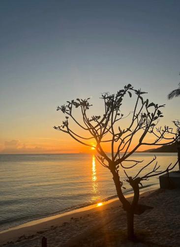 charung by the sea