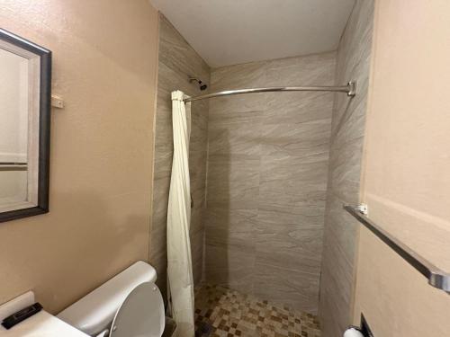 seair motel by townhouse corpus christi padre island tx