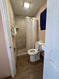 seair motel by townhouse corpus christi padre island tx