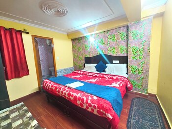 nainital hotel c residency