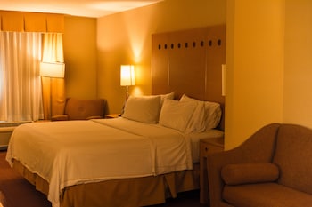 Holiday Inn Express Saltillo Zona Aeropuerto By Ihg,Ramos Arizpe>>Arteaga,3 star
