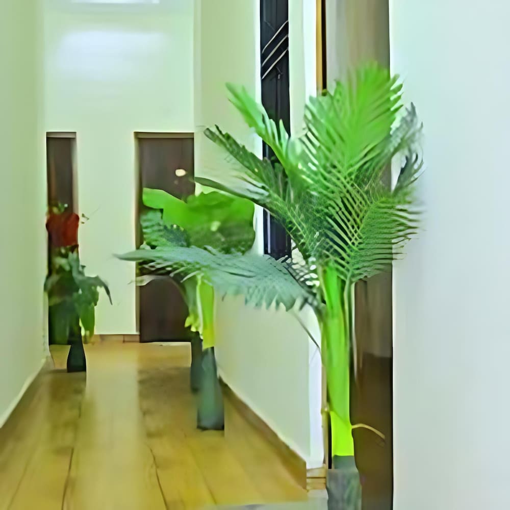 hotel shraddha palace