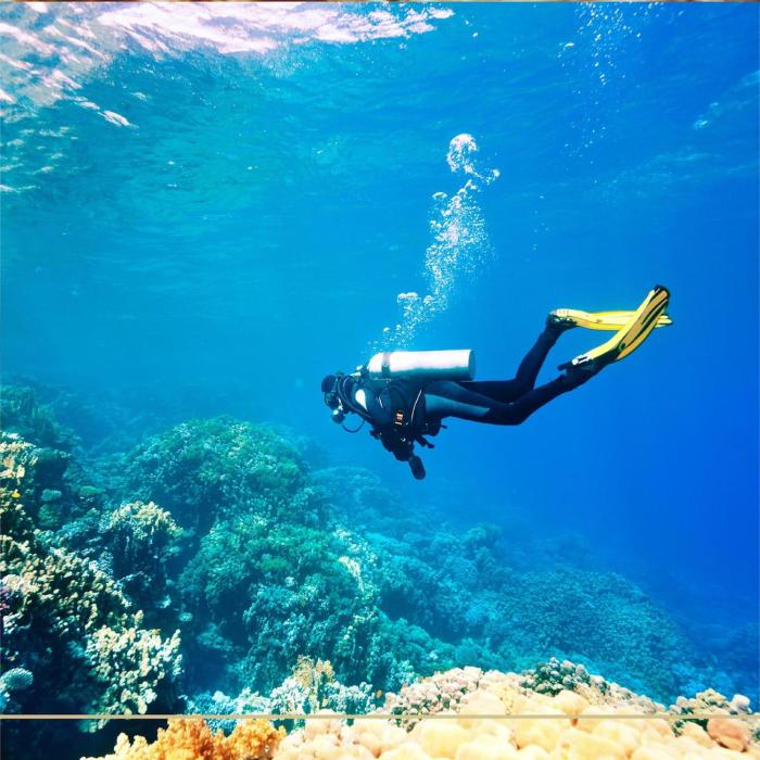 sea view room great location n