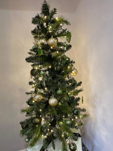 old town trinity apt no 3 by adliv