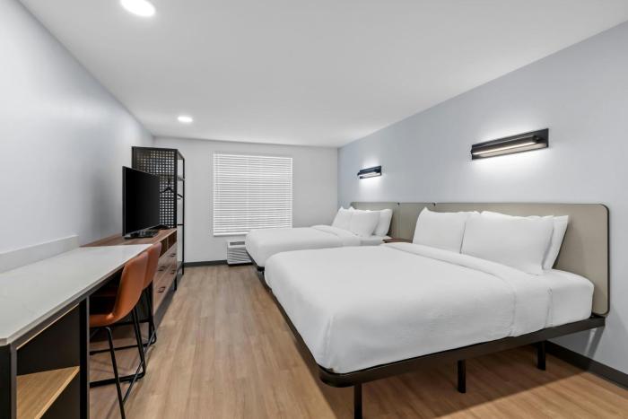 studiores newnan