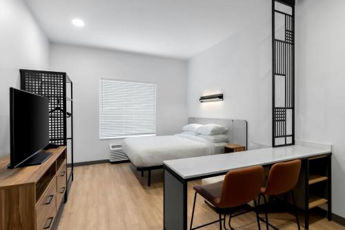 studiores newnan