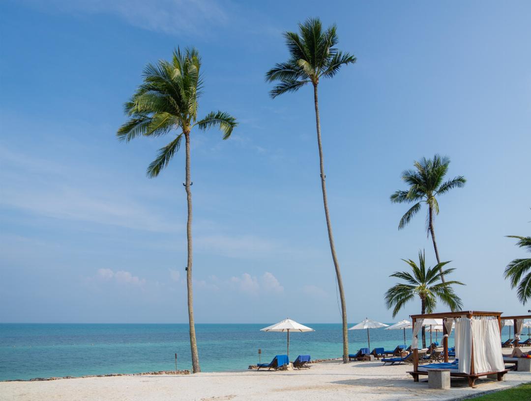 napasai samui