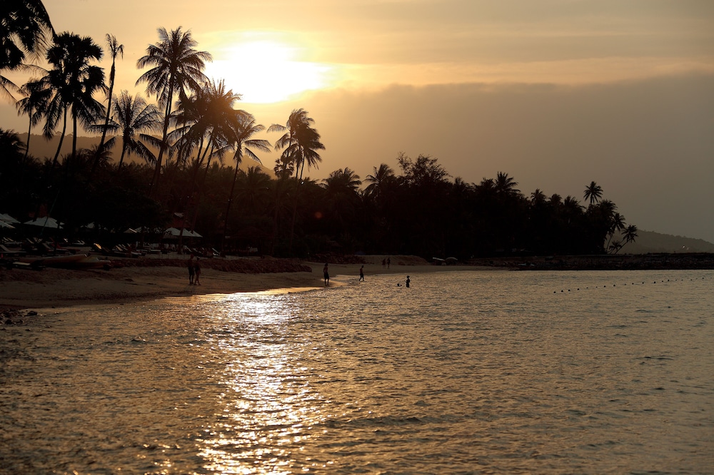 napasai samui
