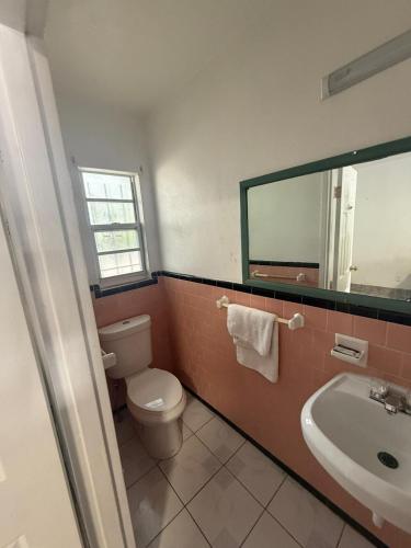 antigua motel by oyo tampa us 41