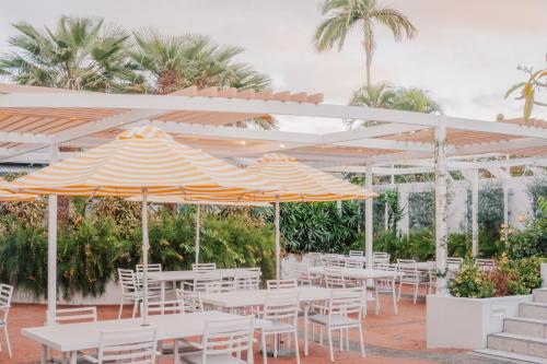 alivio hotel cairns