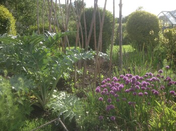 abbey green farm bandb camping and touring park