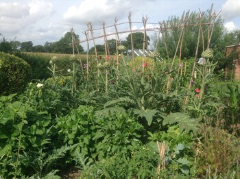 abbey green farm bandb camping and touring park