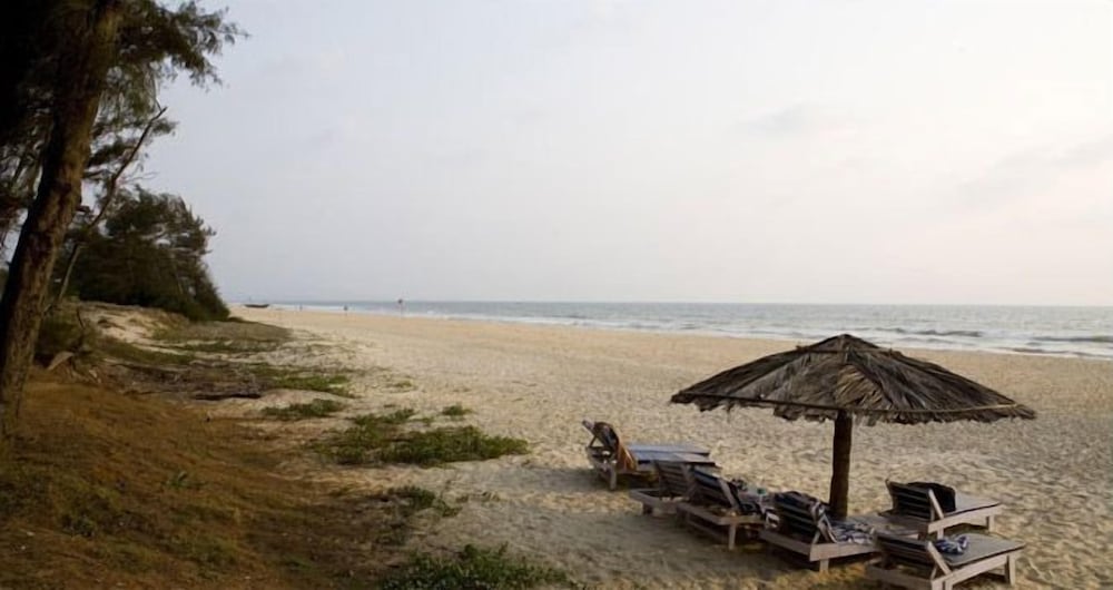 varca palms beach resort