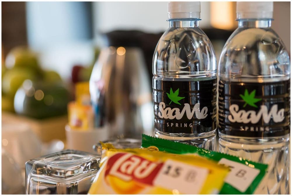 sea me spring tree hotel adults only