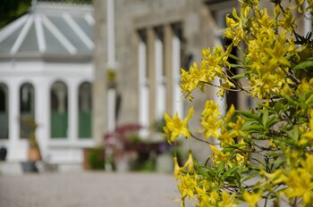 ravenscourt guest house