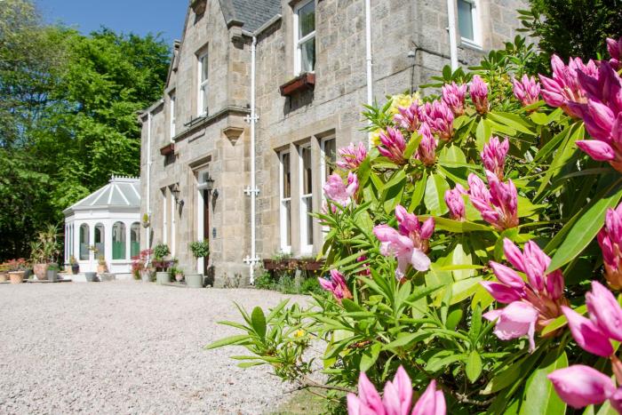 ravenscourt guest house