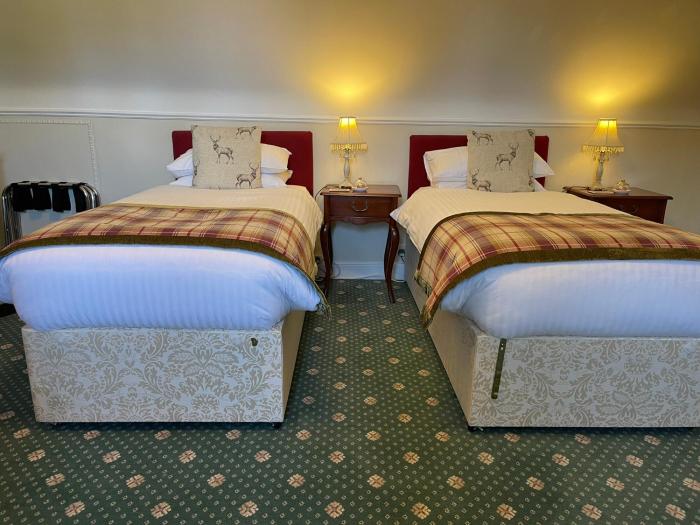 ravenscourt guest house