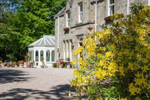 ravenscourt guest house
