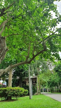 pruksa resort prachuabkhirikhan