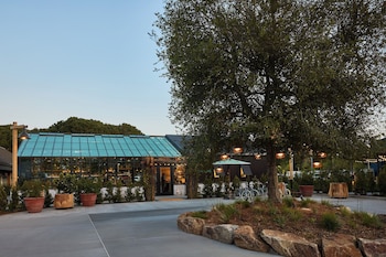 treehouse hotel silicon valley