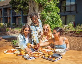 treehouse hotel silicon valley