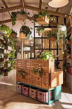 treehouse hotel silicon valley