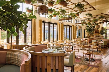 treehouse hotel silicon valley