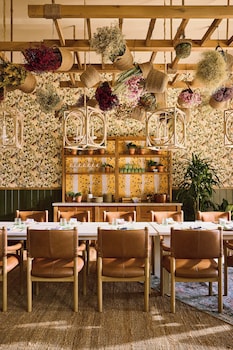 treehouse hotel silicon valley