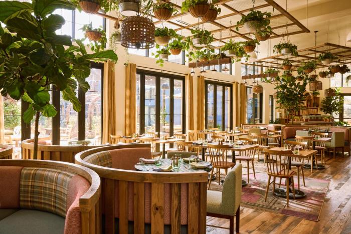 treehouse hotel silicon valley