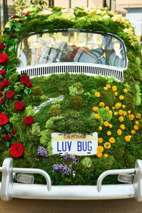 sunnyvale